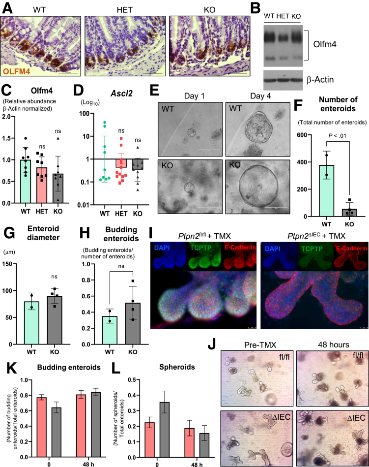 Figure 12