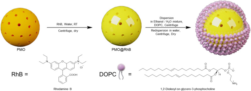 Scheme 2