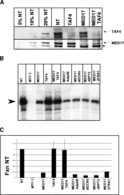 Figure 7.