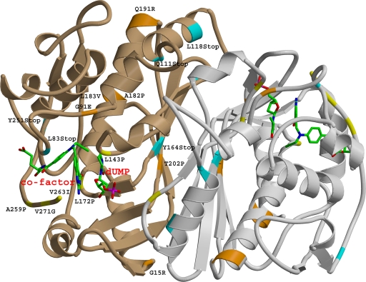 FIG. 2.