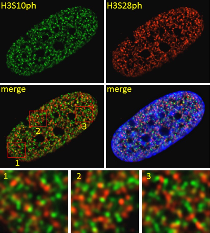 FIGURE 2: