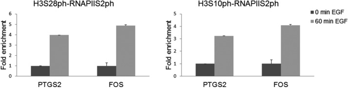 FIGURE 5: