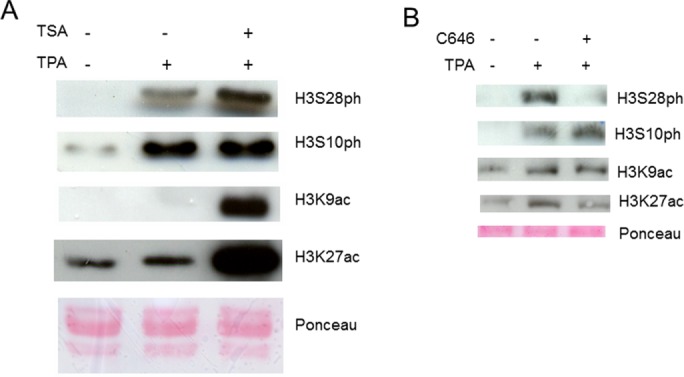 FIGURE 7: