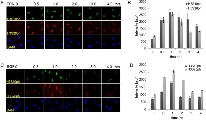 FIGURE 1: