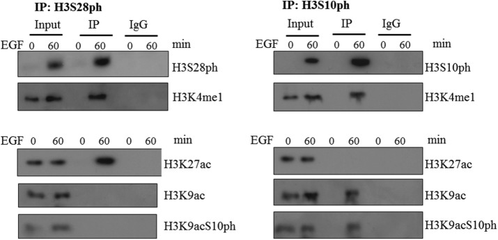 FIGURE 6: