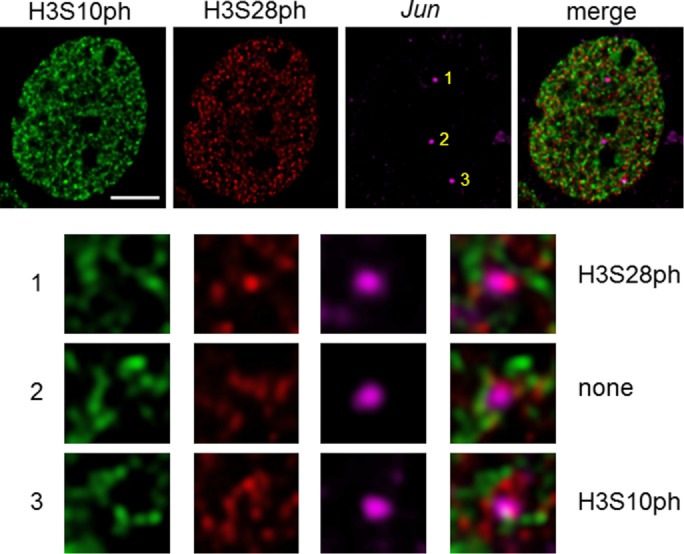 FIGURE 3: