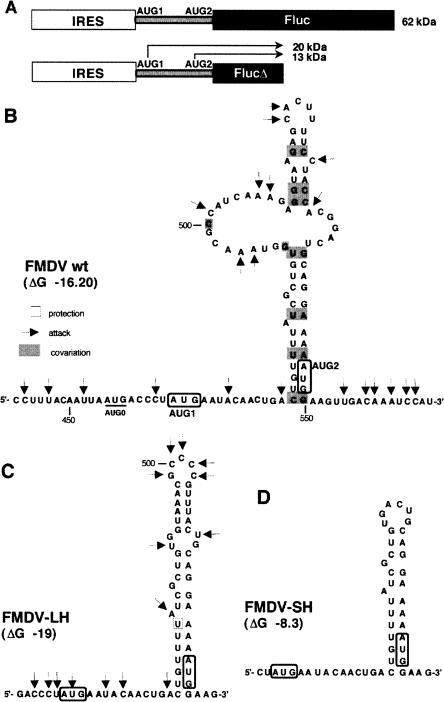 FIGURE 2.