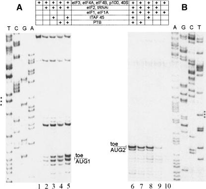 FIGURE 4.