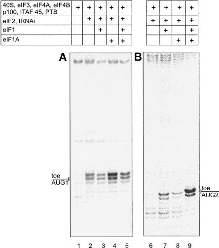 FIGURE 1.