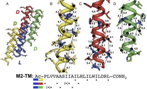 Fig. 3.