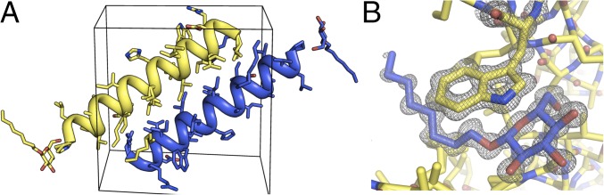 Fig. 2.