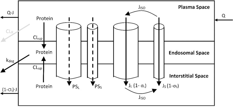 Figure-2: