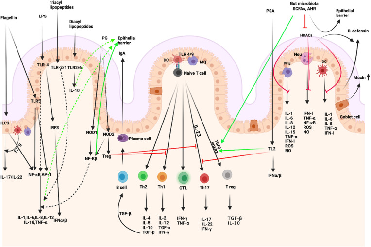 Fig. 2