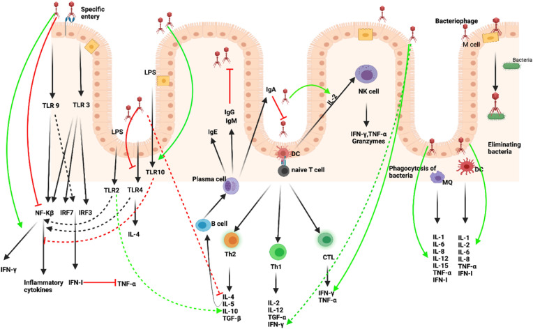 Fig. 4