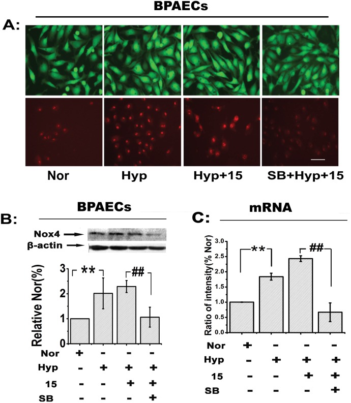 Fig 3