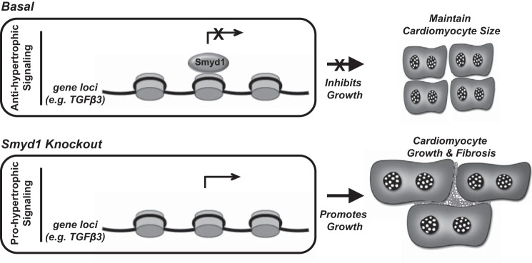 Fig. 7.