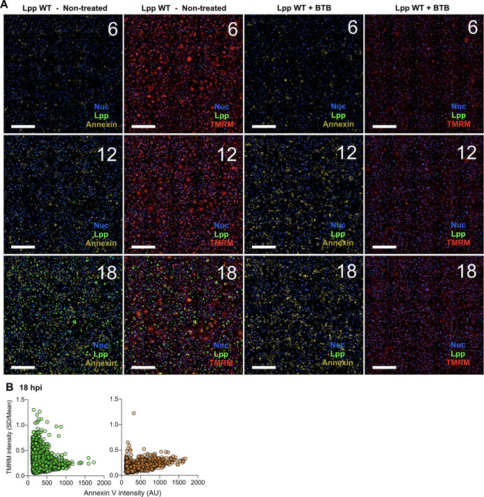 Figure 4—figure supplement 2.