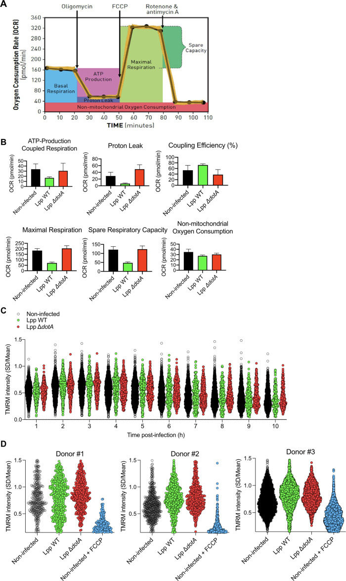 Figure 1—figure supplement 1.