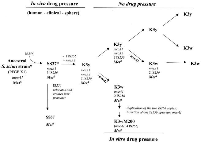 FIG. 7.