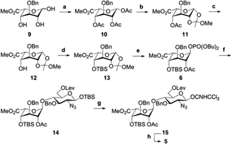 Scheme 2