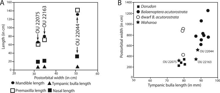 Figure 31