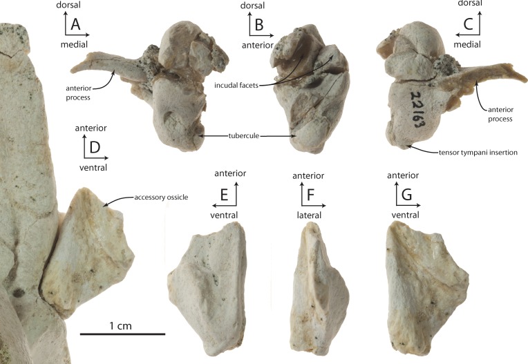 Figure 15