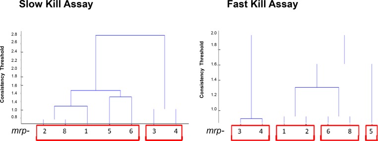 Fig 5