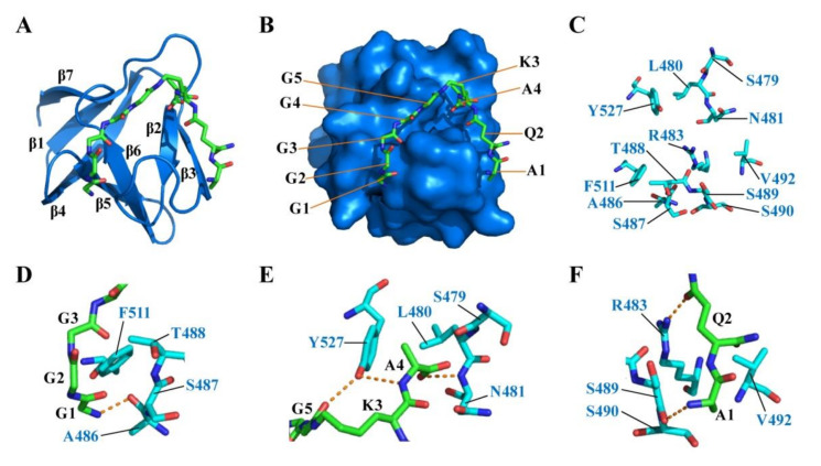 Figure 6