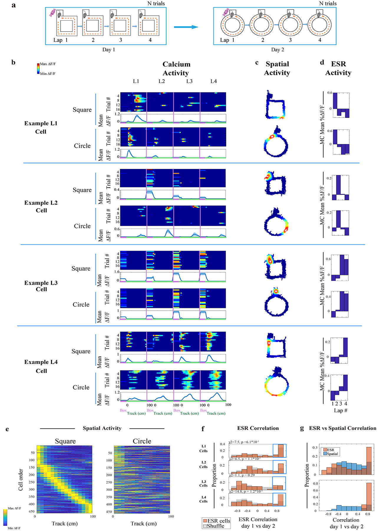 Fig. 4: