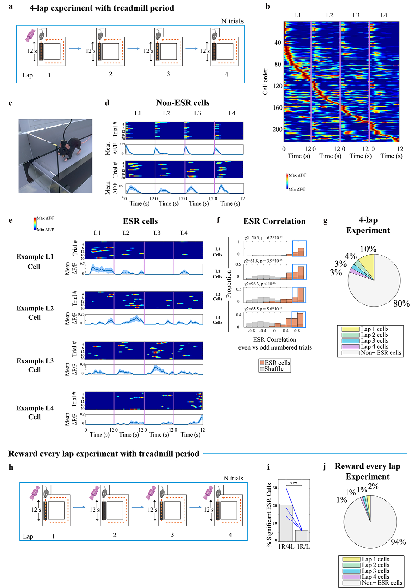 Fig. 7: