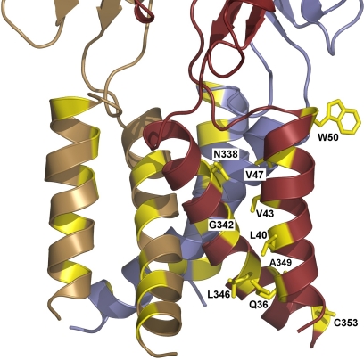 Fig. 8.