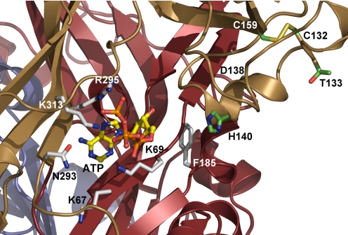 Fig. 7.