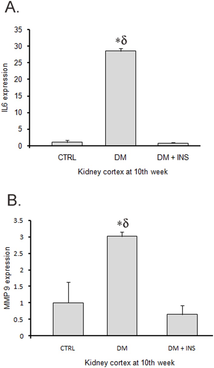 Fig 7