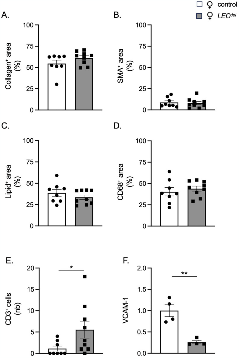 Fig 10