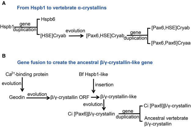 Fig. 10.