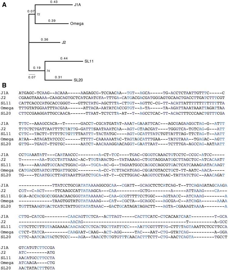 Fig. 8.