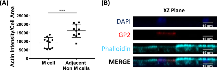 Figure 6.