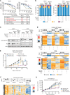 Figure 4. Activity of INX-315 in CDK4/6i–resistant breast cancer. A, Dose–response curves for MCF7 and T47D cell lines treated with INX-315 for 7 days. Parent, parent cells in DMSO; Abema-resistant, abemaciclib-resistant cells growing in 500 nmol/L abemaciclib; Abema/Fulv-resistant, resistant to abemaciclib/fulvestrant growing in 500 nmol/L abemaciclib plus 100 nmol/L fulvestrant; Fulv-resistant, fulvestrant resistant growing in 100 nmol/L fulvestrant; Parent + abema, parental cells treated with 500 nmol/L abemaciclib and INX-315 concurrently. Table shows IC50s for INX-315 in each case, derived from measurement of cell number (error bars represent SD; two biological replicates, six technical replicates each time). B, Cell cycle phase profiles of MCF7 and T47D cells (and parental and drug-resistant) treated with drugs shown for 7 days (500 nmol/L abemaciclib; 100 nmol/L fulvestrant; INX-315, 300 nmol/L for MCF7, 100 nmol/L for T47D; values are mean of experiments performed in duplicate, error bars are SD). C, Western blots for phosphorylated/total Rb in MCF7 and T47D cells treated as in B. D, Heat map showing z scores for individual E2F target genes (RNA-sequencing) in MCF7 and T47D cells treated as in B. Bar plot above shows mean z-score for all genes in each sample. Three technical replicates per condition. E, Tumor growth curves for MMTV-rtTA/tetO-HER2 tumors treated with control vehicle (n = 17 tumors in 6 mice), abemaciclib (n = 17 tumors in 6 mice), INX-315 (n = 20 tumors in 6 mice), or the combination (n = 15 tumors in 6 mice). Tumors were pretreated with abemaciclib for 3ߝ4 weeks prior to randomization, at which point abemaciclib resistance was present. Experiment was repeated twice (error bars represent SEM; P values calculated using two-way ANOVA). F, Heat map showing z scores for individual E2F target genes (RNA-sequencing) in MMTV-rtTA/tetO-HER2 tumors from E. Bar plot above shows mean z-score for all genes in each sample. Six samples for vehicle and INX-315, five samples for abemaciclib and combination. G, Tumor growth curves for ST4316B PDX tumors treated with control, ribociclib, INX-315, or the combination (n = 8 per group; error bars represent SEM; P values calculated using two-way ANOVA).