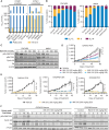 Figure 2. Activity of INX-315 in CCNE1-amplified cancers. A, IC50s for palbociclib and INX-315 for cell lines shown using CellTiter Glo viability assay. All cells were treated for 6 days, n = 3 technical replicates per cell line. B, Cell cycle phase profiles of OVCAR-3 and MKN1 cells treated with INX-315. All cells were treated for 24 hours, n = 3 technical replicates per cell line; error bars are SD. C, Western blots for phosphorylated/total Rb and cyclin A2 in OVCAR3 and MKN1 cells treated with INX-315 for 24 hours. D and E, Tumor growth curves for CCNE1-amplified gastric and ovarian carcinoma models treated with INX-315 at doses shown (GA0103 n = 8 per group; GA0114 n = 8 per group; OVCAR3 n = 10 per group; OV5398 n = 10 per group; error bars represent SEM; P values calculated using two-way ANOVA. all experiments performed once). F, Western blots for phosphorylated/total Rb and cyclin A2 in tumor tissue lysates treated with control vehicle or INX-315. Samples were collected at experimental endpoint from experiments in E.