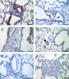 <b>Figure 3.</b>