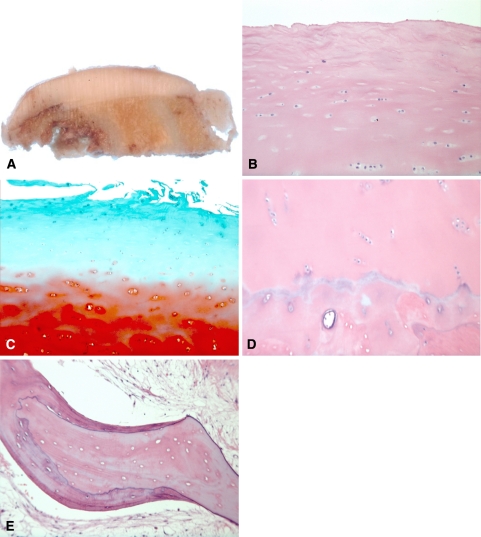 Fig. 2A–E