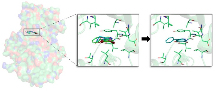 Figure 4