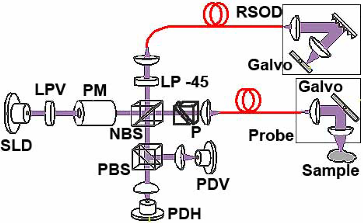 Fig. 1.