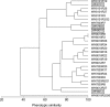 FIG. 1.