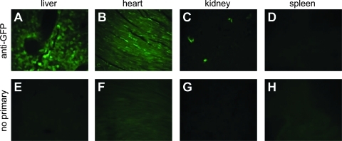 FIG. 7.