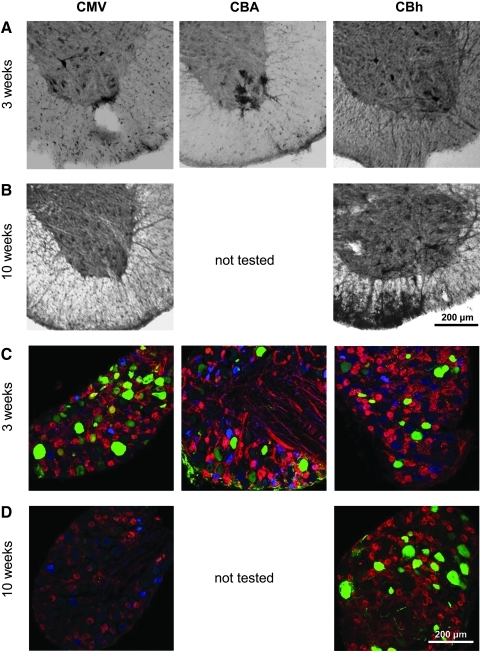 FIG. 4.