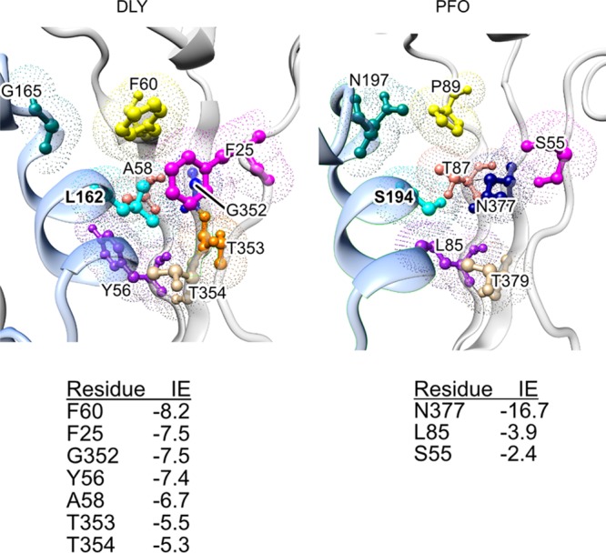 FIG 7