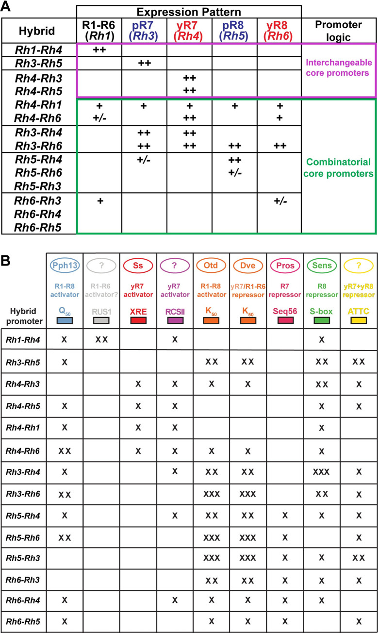 Fig 10