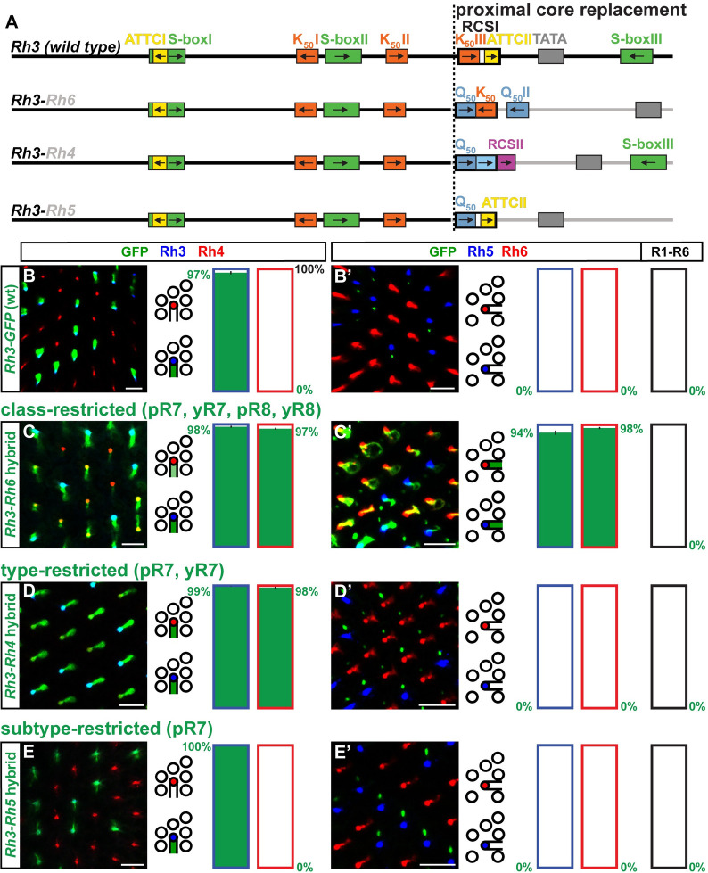 Fig 6