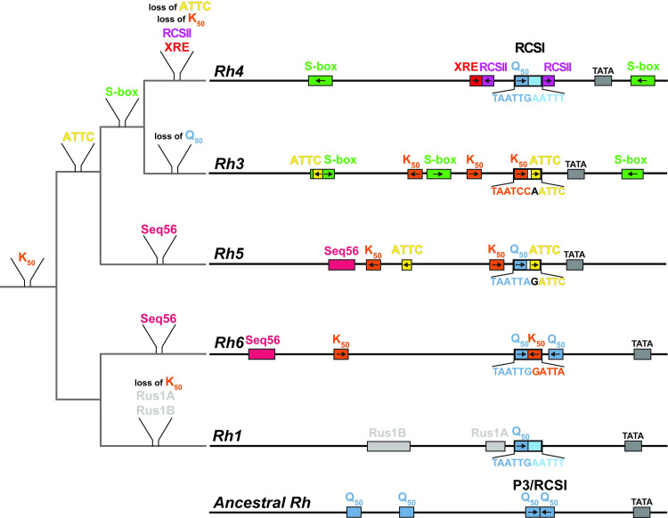 Fig 11